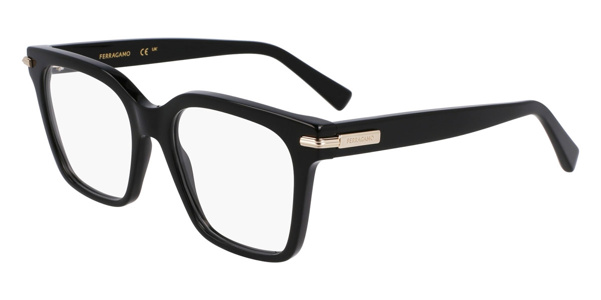 Salvatore Ferragamo SF3009 Eyeglasses